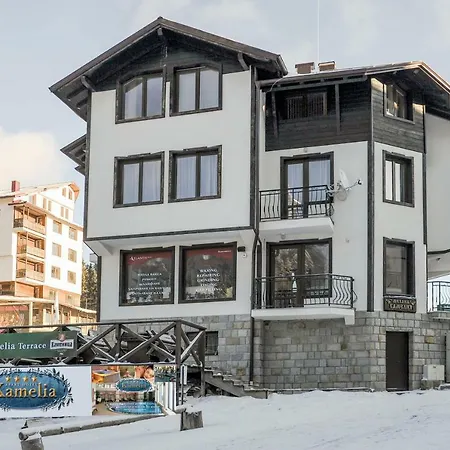 за гости в къща камелия 3* Пампорово