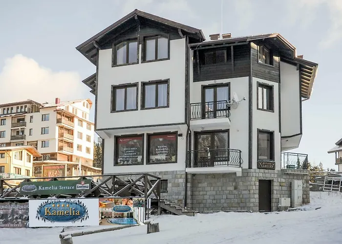 за гости в къща камелия 3* Пампорово